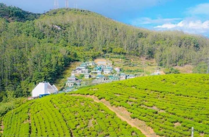 Aloka Home Stay Nuwara Eliya Exteriér fotografie